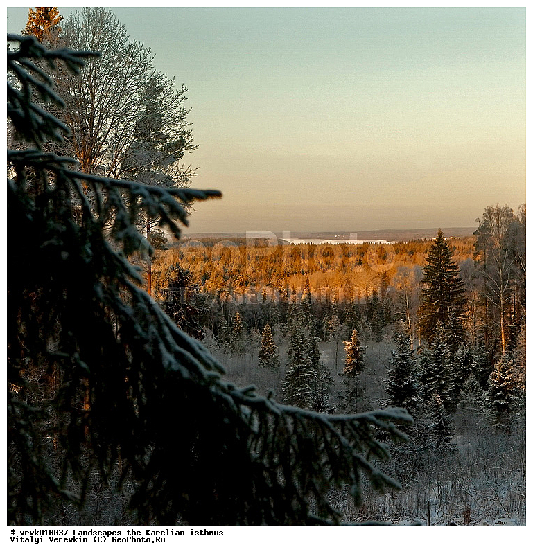 ���������� ��������, �����, ����� ���, ������, ���������� ������, ����, �������, �����, ��������� ������, ����, ���, �� �������, �� ������, ������, �������, ���� 