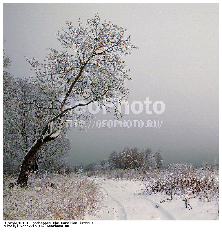 ���������� ��������, ����, �������, ������ �����, �����, ��������� �����, �������� ������, �����, ������, ������� �����, ����, ����, ����� ��� ������, �����