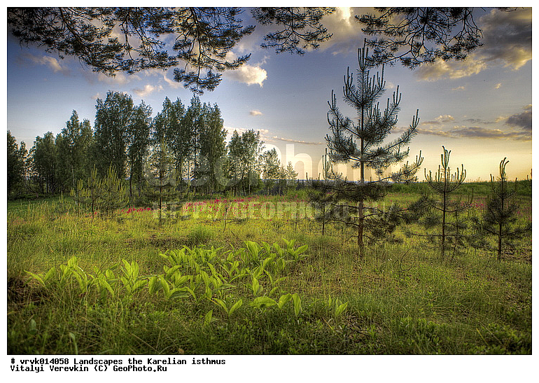 �������, ���������� ��������, �����, �������, �����, �������, ���, ����, ��������� �����, ����, ������, ��������� ����, ����� 