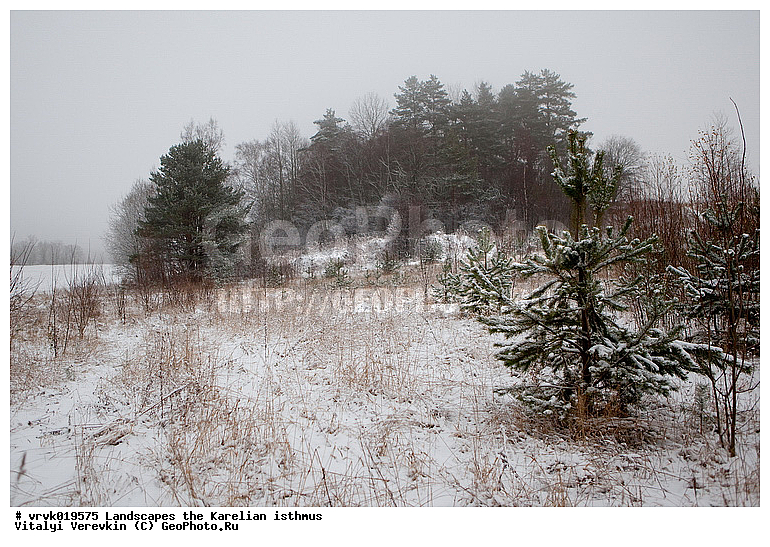 ���������� ��������, ����, �������, �����, ���, ��������� �����, �����, ������� �����, ����, ����� 