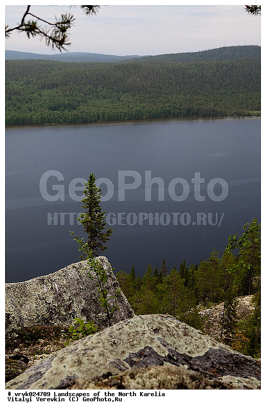 �������, ������, �������� �������, �����, ��� � �����, ��� � ����, ����, �������������, ��������, ����, ����, ��. �����, �����, �������