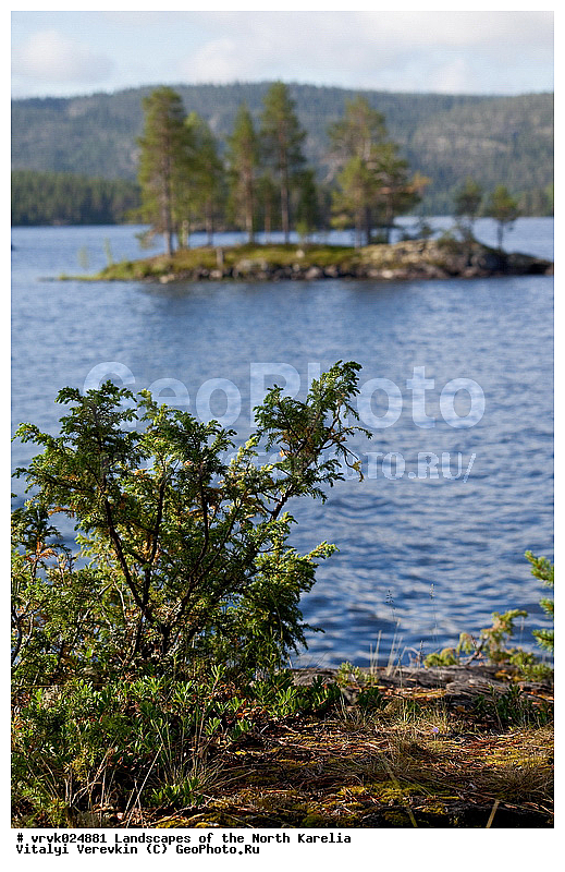 �������, ������, �������� �������, �����, ����, ����, ������������, ��. �����, �����, ������