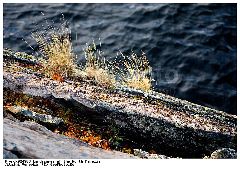 �������, ������, �������� �������, �����, ����, �������������, ����, ���, ��. �����, �����, �����, ��������� �����, �����