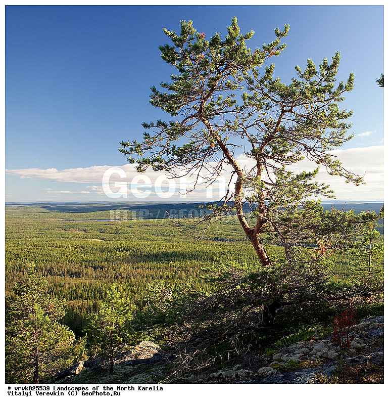 �������, ������������ �������������, ������, �������� �������, ��� � ����, ��������, ����, ���, �������, �����