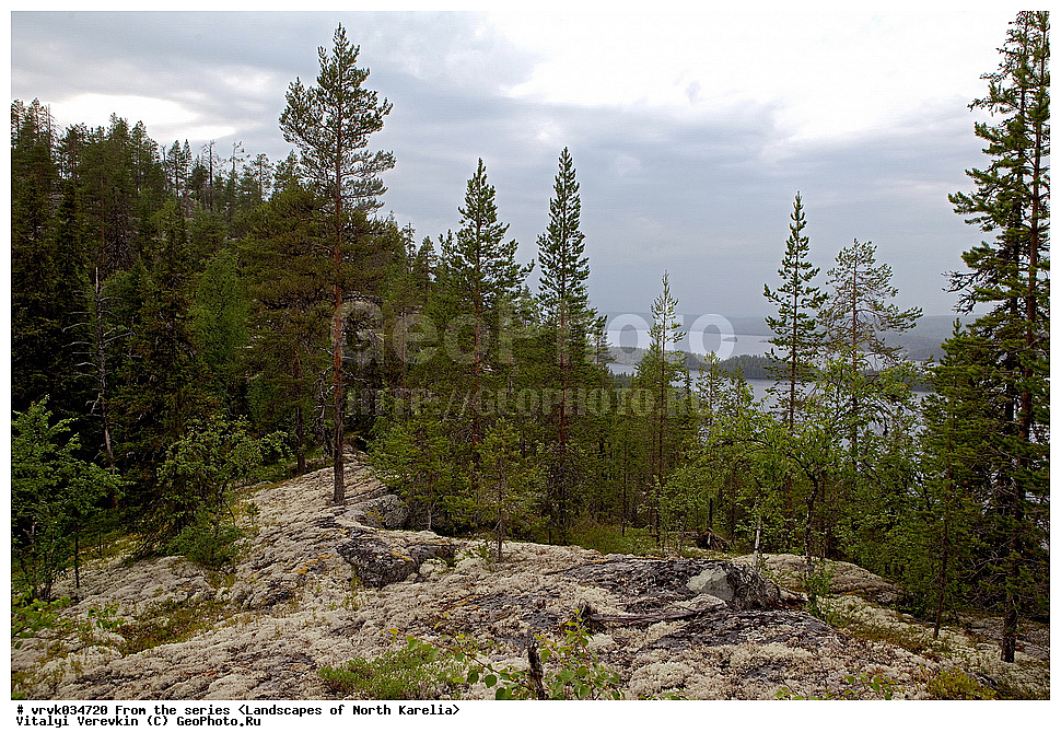 ������, �������, ������� �����, ���������� ��������, �����, �������� �������