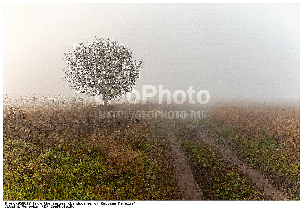 ������, �������, ������� �����, ���������� ��������, �����, ���������� ������