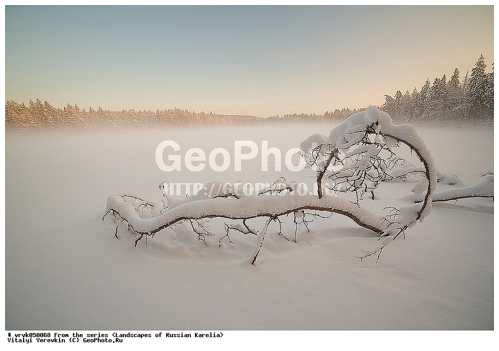 ������, �������, ������� �����, ���������� ��������, �����, ���������� ������