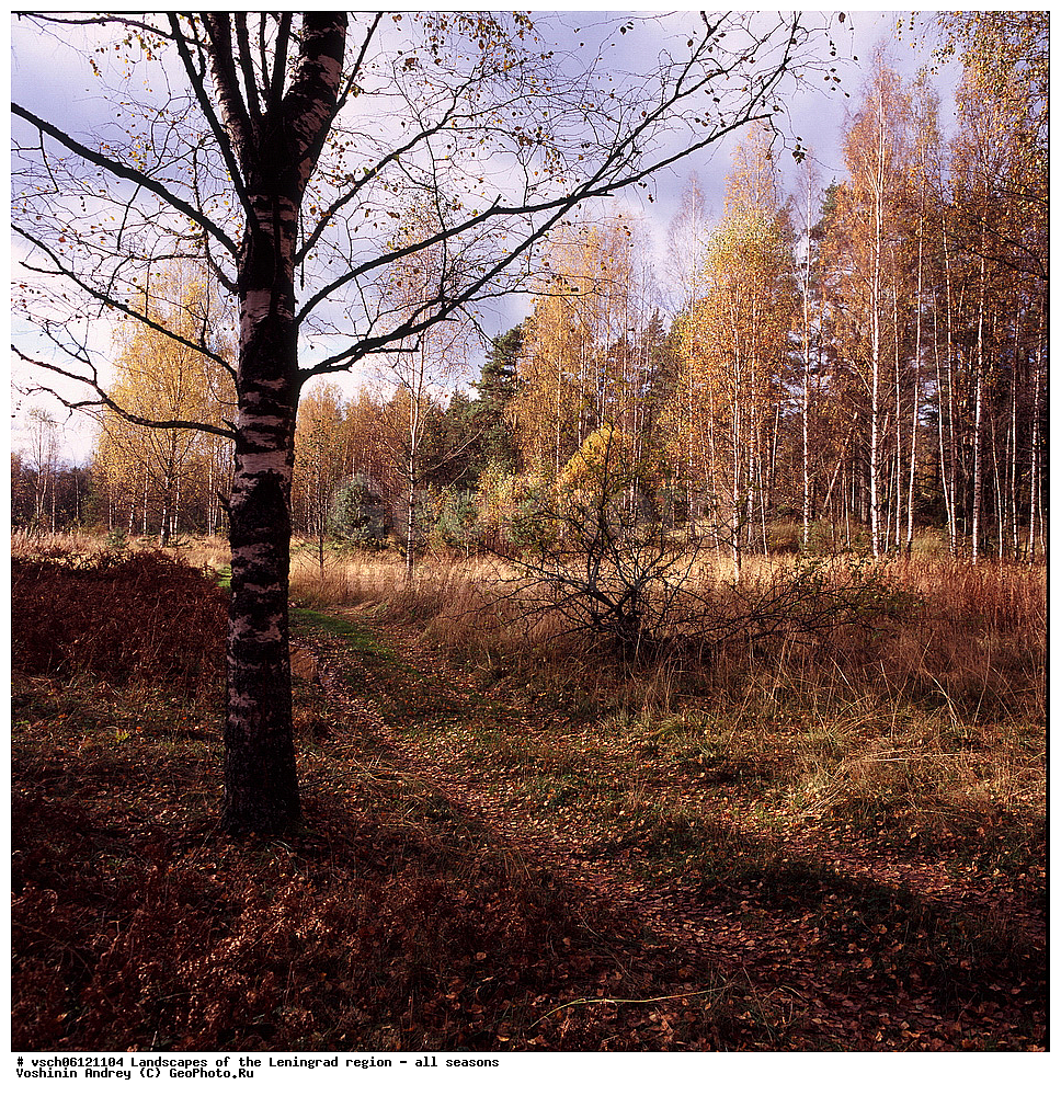 ������, ������������� �������, ������