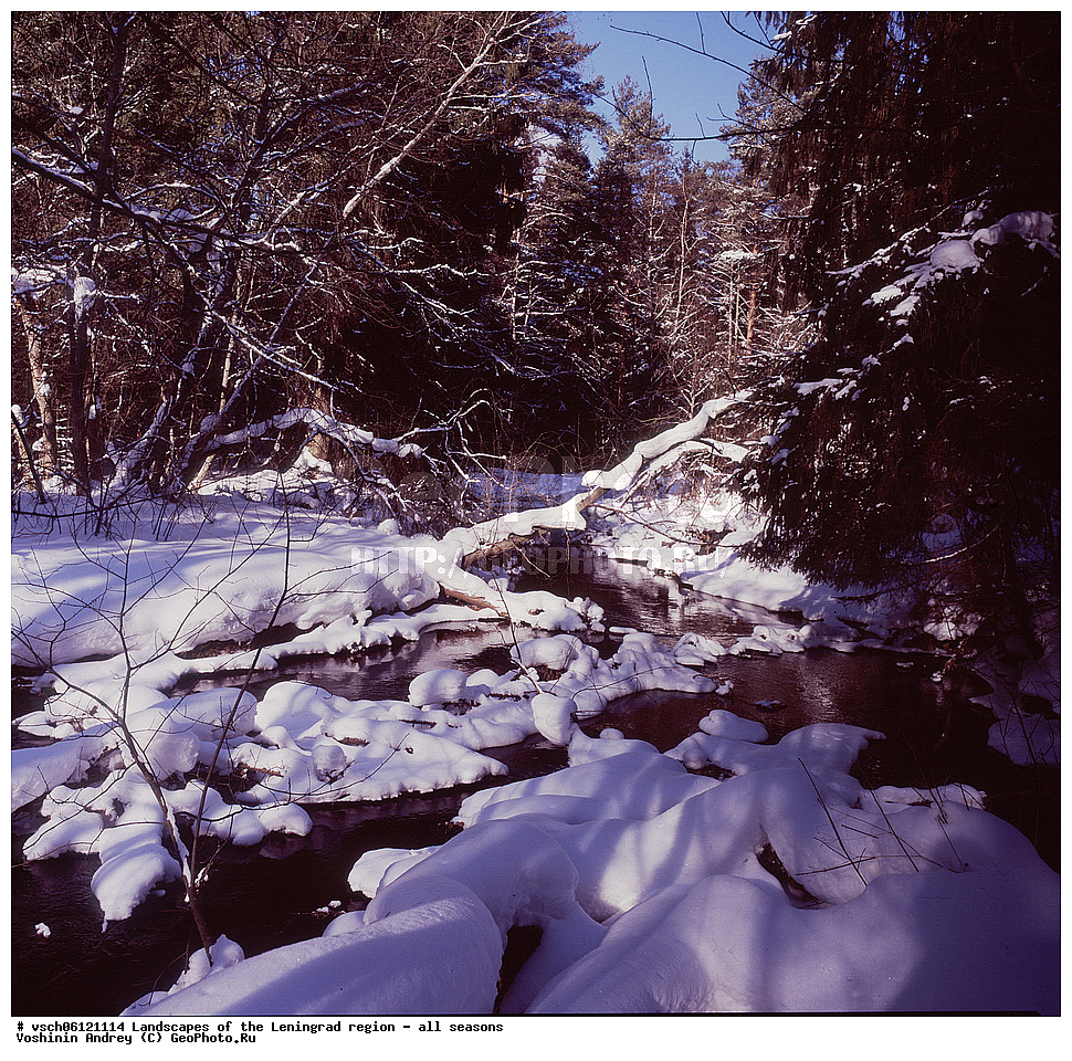 ������, ������������� �������, ������