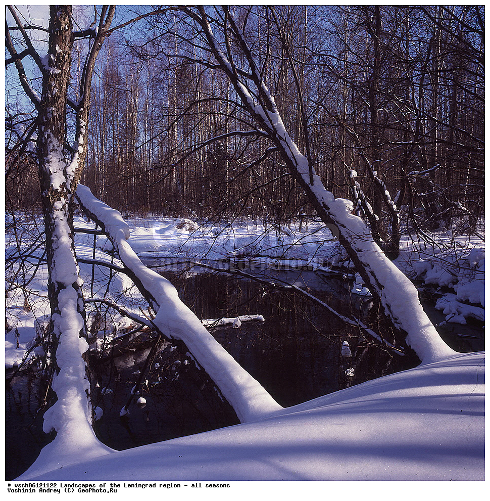 ������, ������������� �������, ������