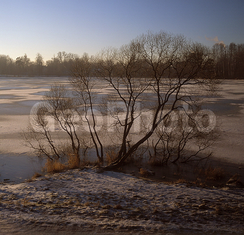 ������������� �������, ������