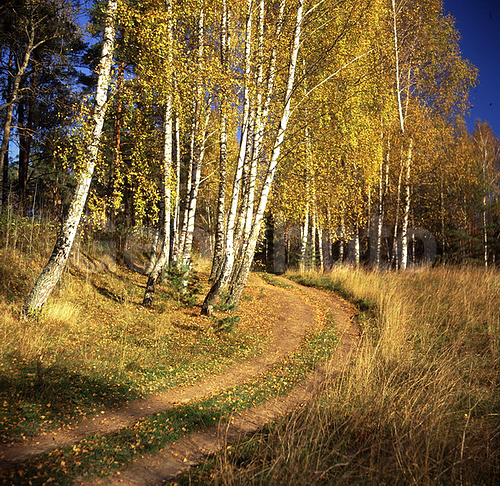 ������������� �������, ������