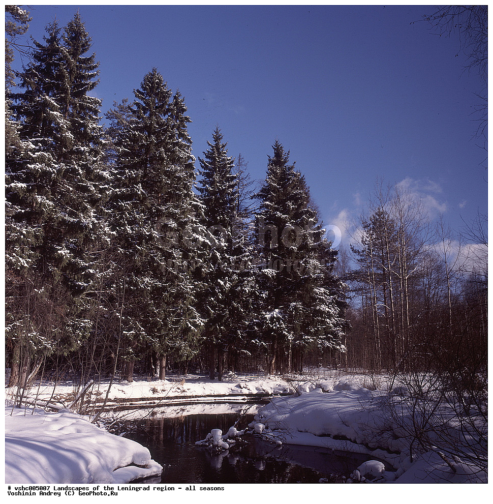 ������, ������������� �������, ������