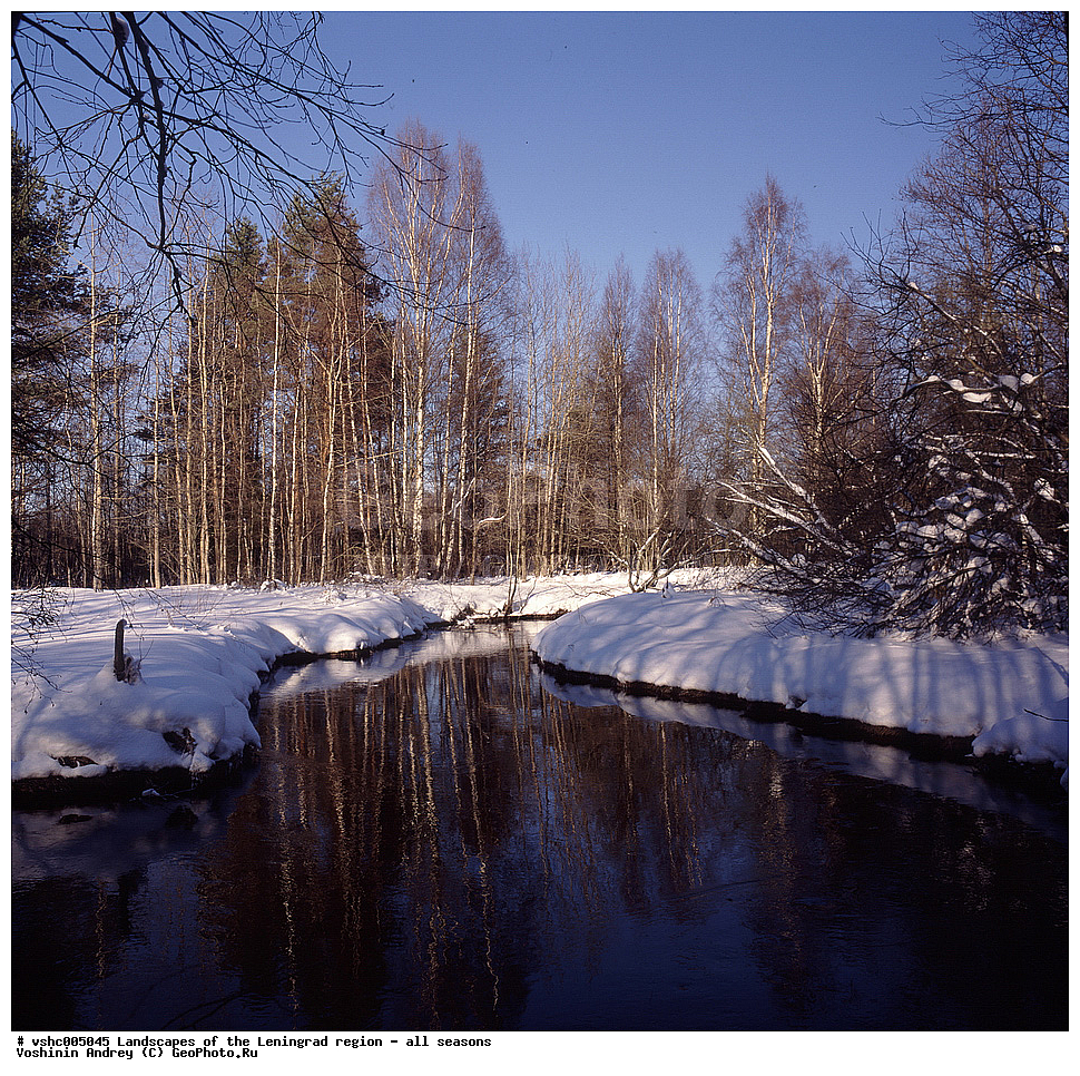 ������, ������������� �������, ������