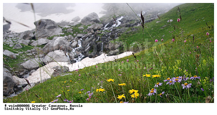 �����, ������, ���������-���������, �������� ������