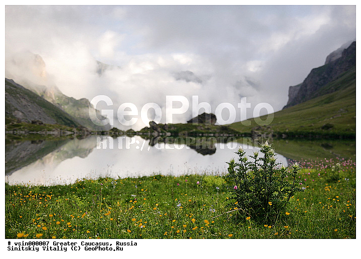 �����, ������, ���������-���������, �������� ������, ���. ���������