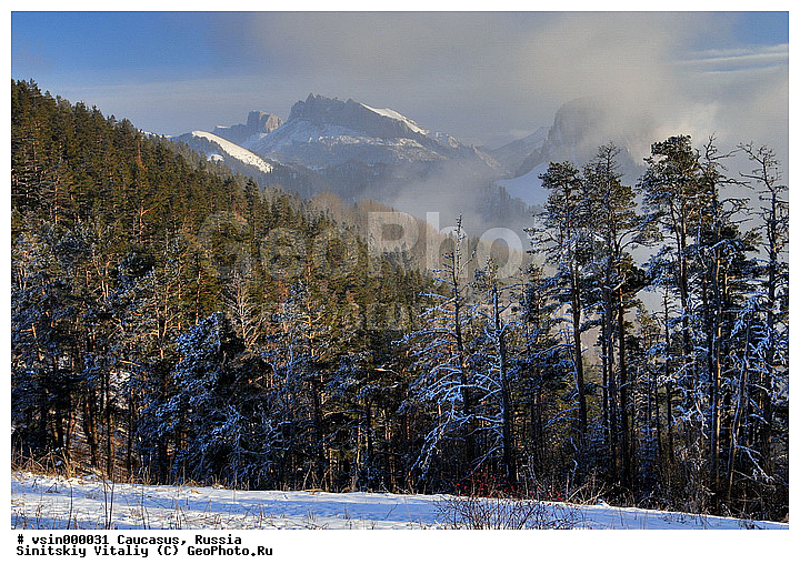 ������, ������ ���������, �. ������� ������, ����������, �������, ������� �������