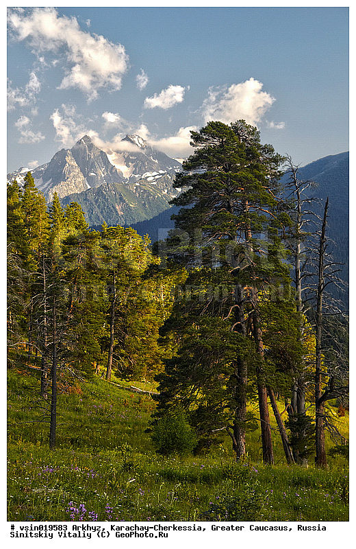 �����, ������, ���������-���������, �������� ������