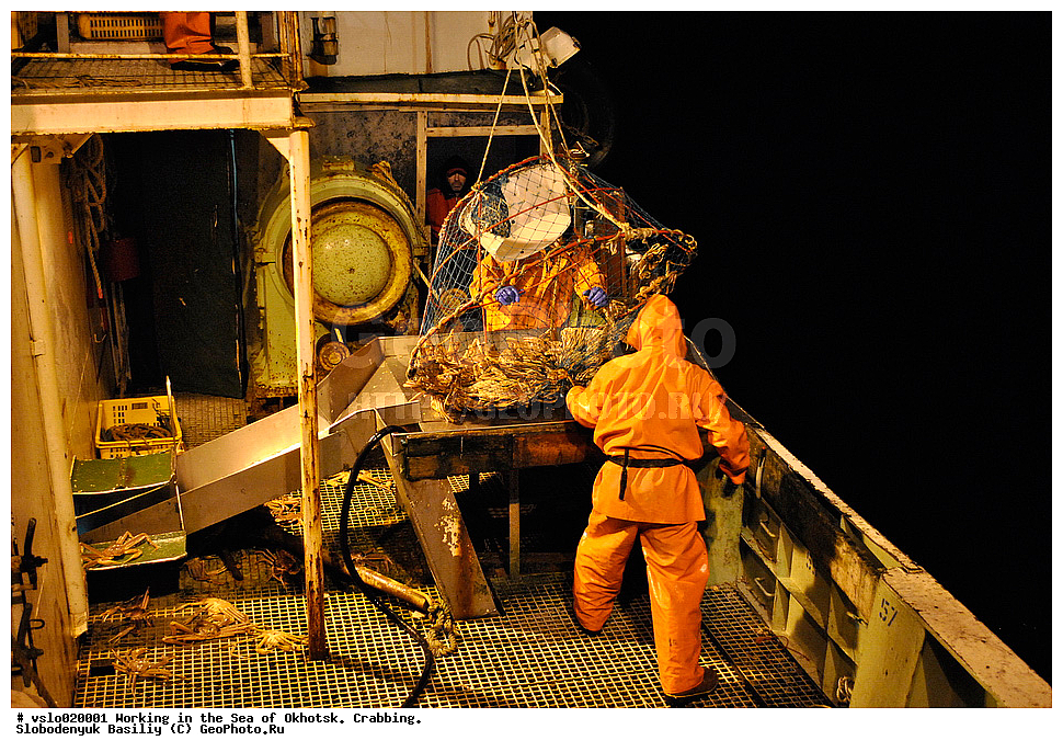 ������, �������� ����, ����, �������� ��������