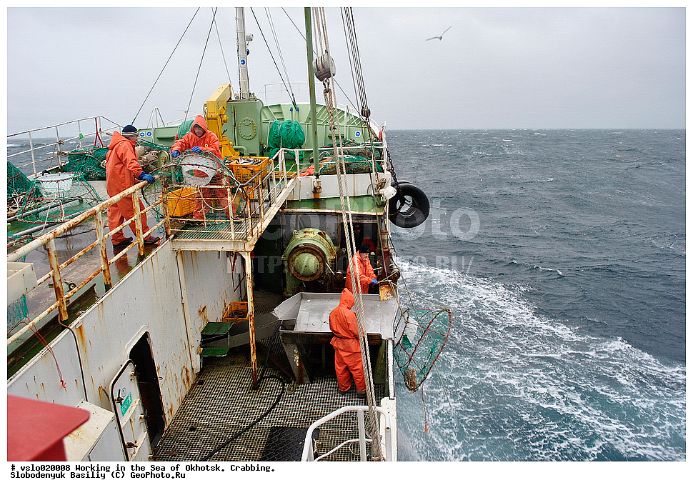 ������, �������� ����, ����, �������� ��������