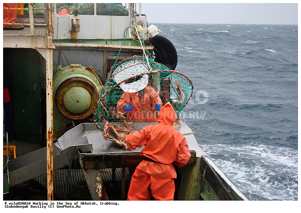 ������, �������� ����, ����, �������� ��������