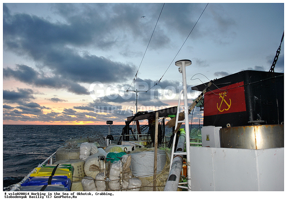 ������, �������� ����, ����, �������� ��������