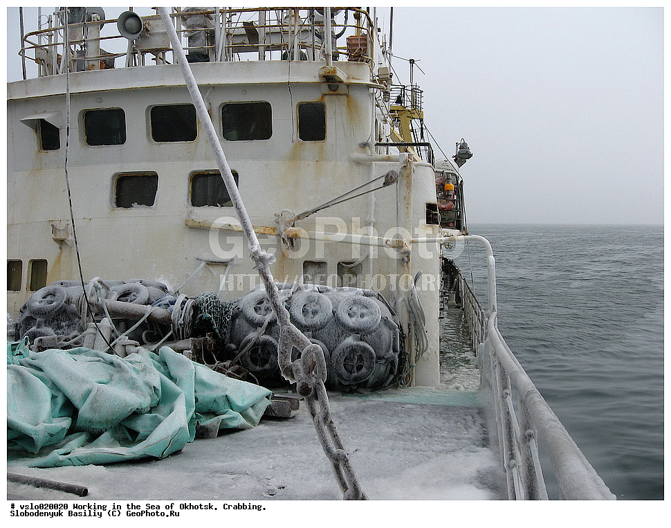 ������, �������� ����, ����, �������� ��������