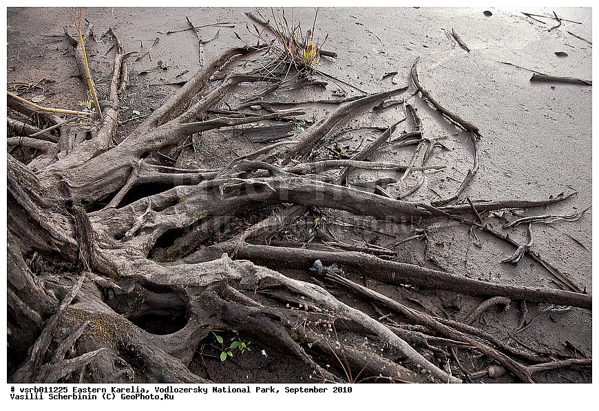 ��������� �������, ������������ �������, ��������, 2010 �, ���������, ������������ ����, ������� �����, �����, ��������, ���