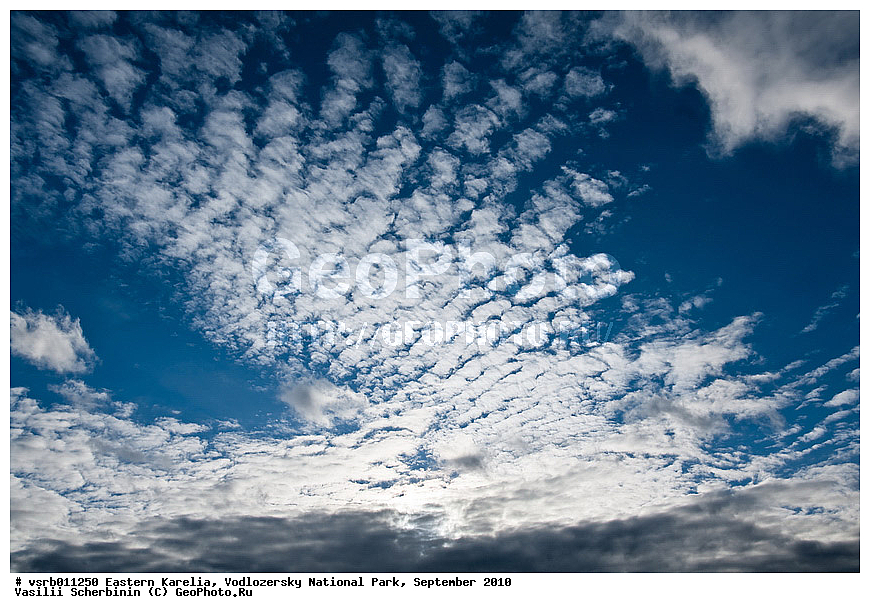 ��������� �������, ������������ �������, ��������, 2010 �, ���������, ������������ ����, ������� �����, �����, ��������, ����, ������, ������, ���