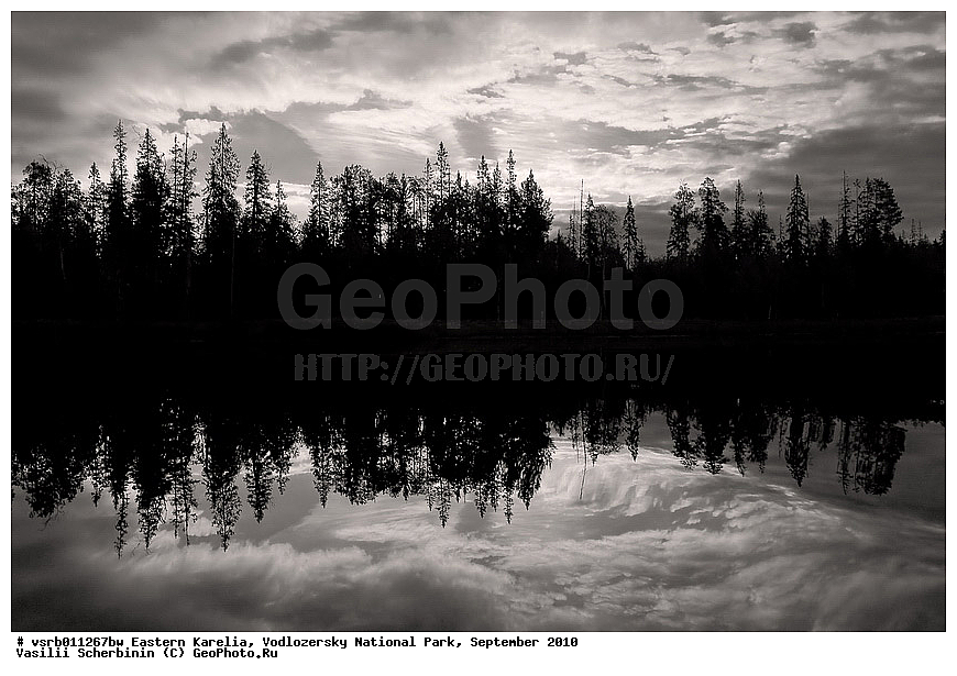 ��������� �������, ������������ �������, ��������, 2010 �, ���������, ������������ ����, ������� �����, �����, ��������, ������