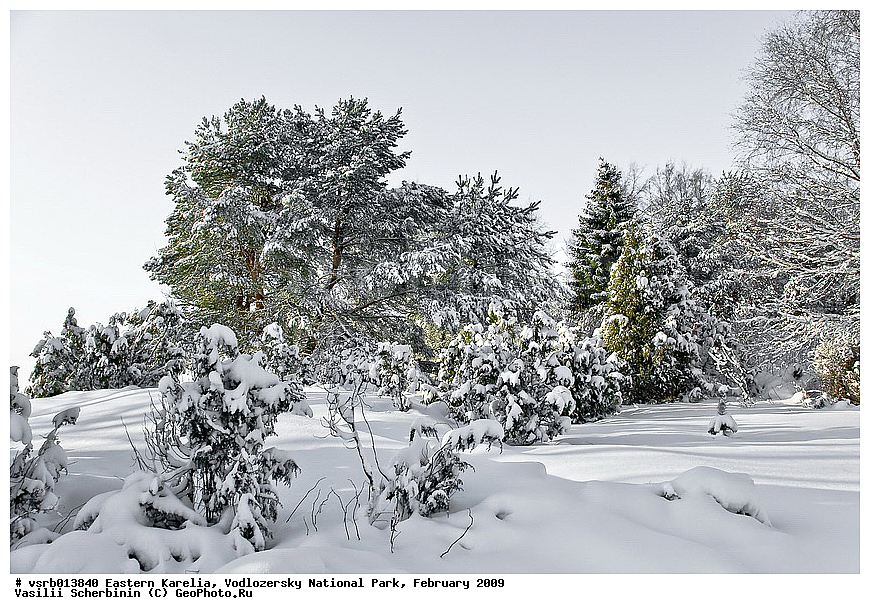  ��������� �������, ������������ �������, �������, 2009 �, ���������, ������������ ����, ������� �����, �����, ����, ����, �����������, ��������