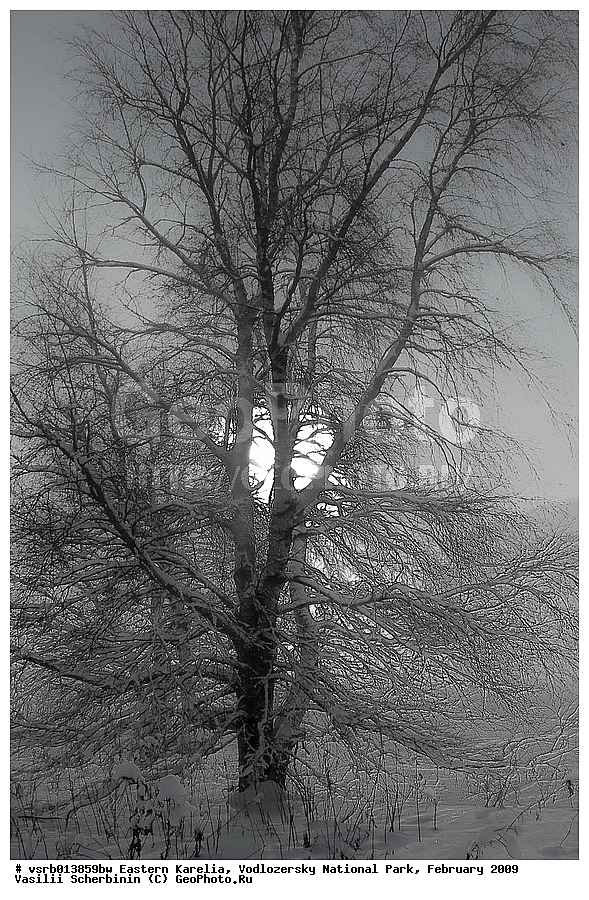  ��������� �������, ������������ �������, �������, 2009 �, ���������, ������������ ����, ������� �����, �����, ����, ����, �����������, ��������