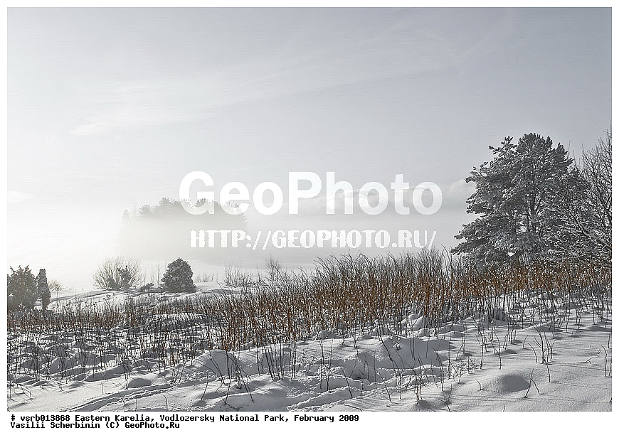  ��������� �������, ������������ �������, �������, 2009 �, ���������, ������������ ����, ������� �����, �����, ����, ����, �����������, ��������