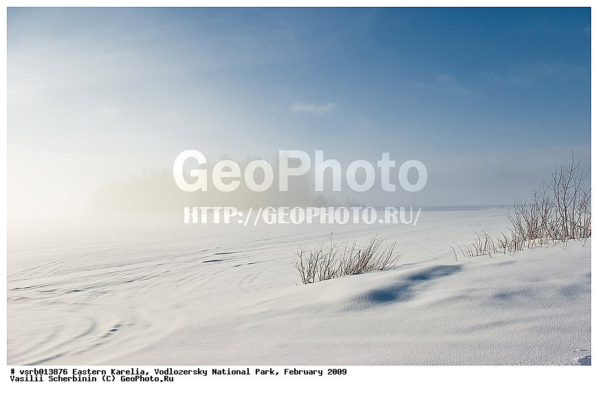  ��������� �������, ������������ �������, �������, 2009 �, ���������, ������������ ����, ������� �����, �����, ����, ����, �����������, ��������, �����, �������