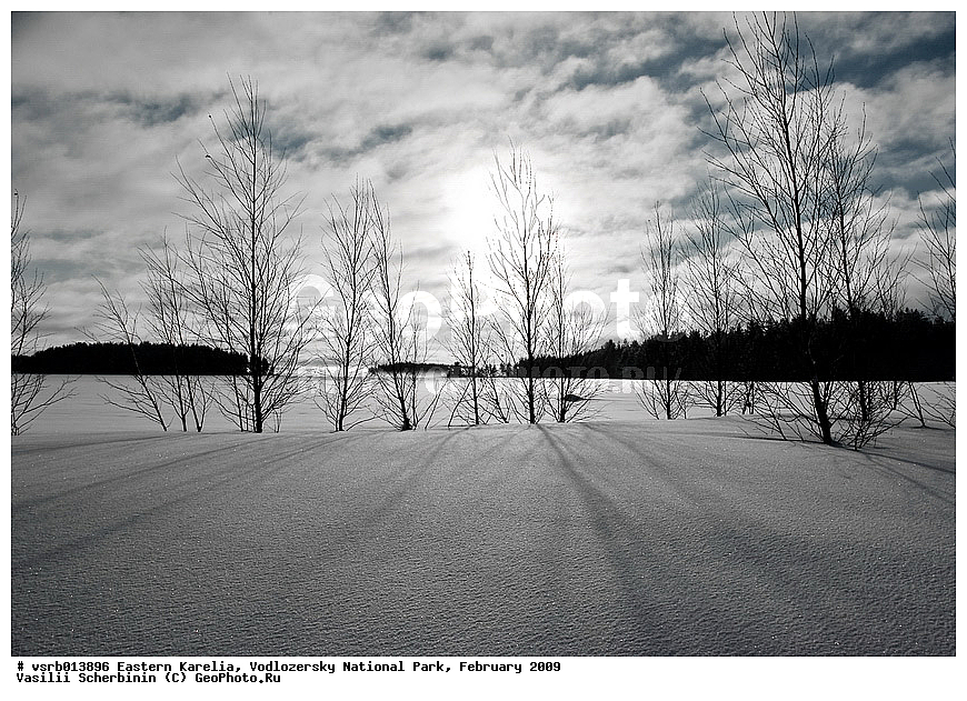  ��������� �������, ������������ �������, �������, 2009 �, ���������, ������������ ����, ������� �����, �����, ����, ����, �����������, ��������, ���