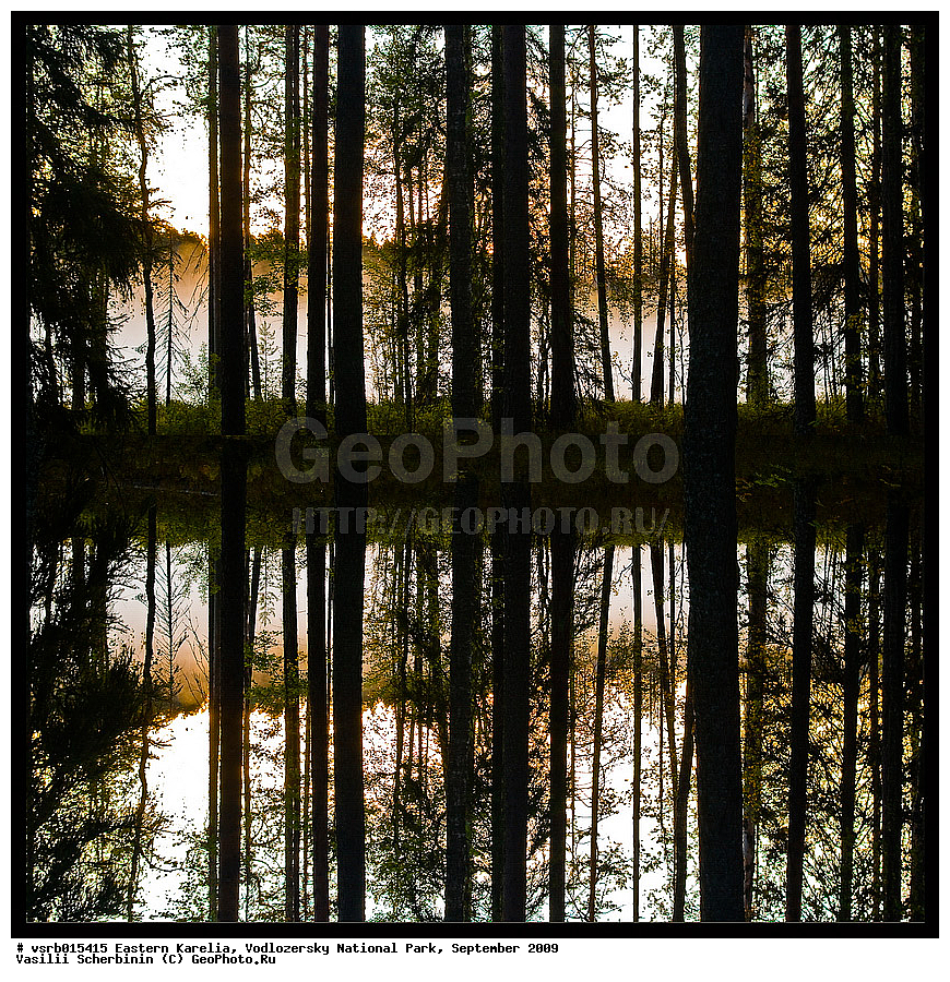 ��������� �������, ������������ �������, ��������, 2009 �, ���������, ������������ ����, ������� �����, �����, ��������, ������, ���