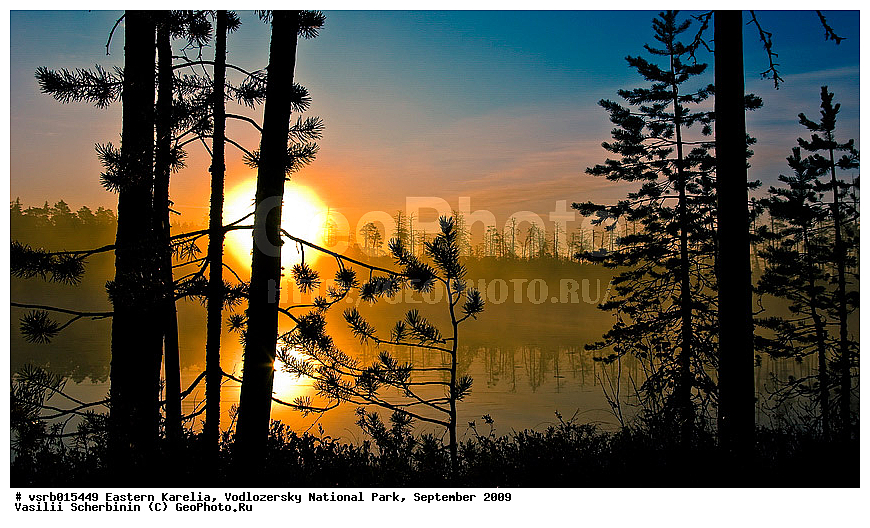 ��������� �������, ������������ �������, ��������, 2009 �, ���������, ������������ ����, ������� �����, �����, ��������, ������, �����, �������, �������, ���