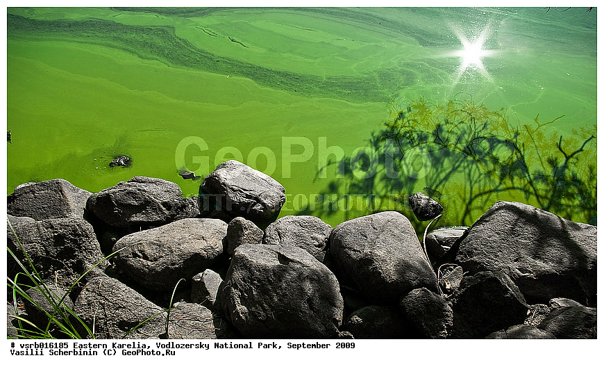 ��������� �������, ������������ �������, ��������, 2009 �, ���������, ������������ ����, ������� �����, �����, ��������, �����, �������, ���