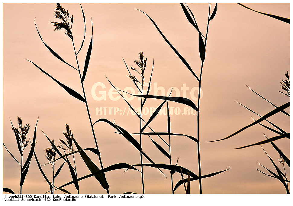 ����� �����������, ����������� �����, ��������, �����, ������� �����, ����, �������, �������, ������, ��������, �����, ������, �������, ���������, ������������  , ��� ����, ����, ������������ ����, , �����������, ���