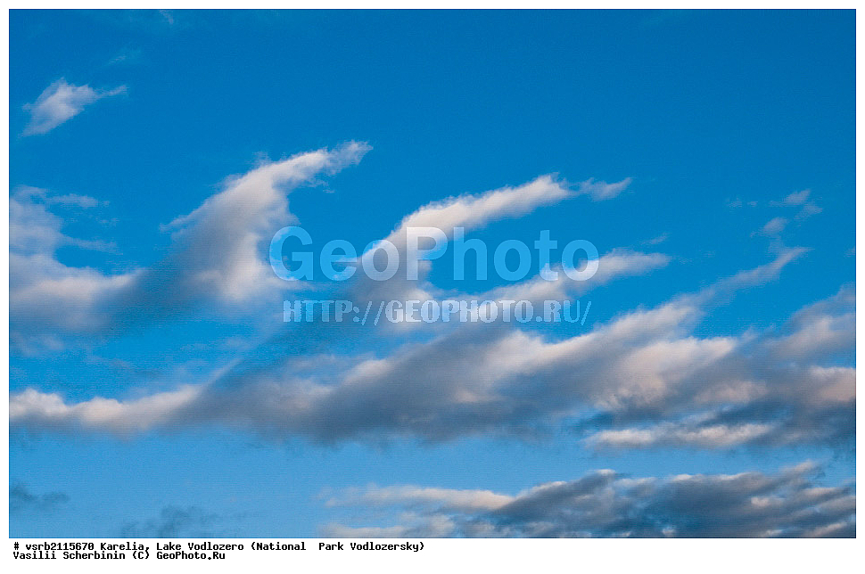 ����� �����������, ����������� �����, ��������, �����, ������� �����, ����, �������, �������, ������, ��������, �����, ������, �������, ���������, ������������  , ��� ����, ����, ������������ ����, , �����������, ���