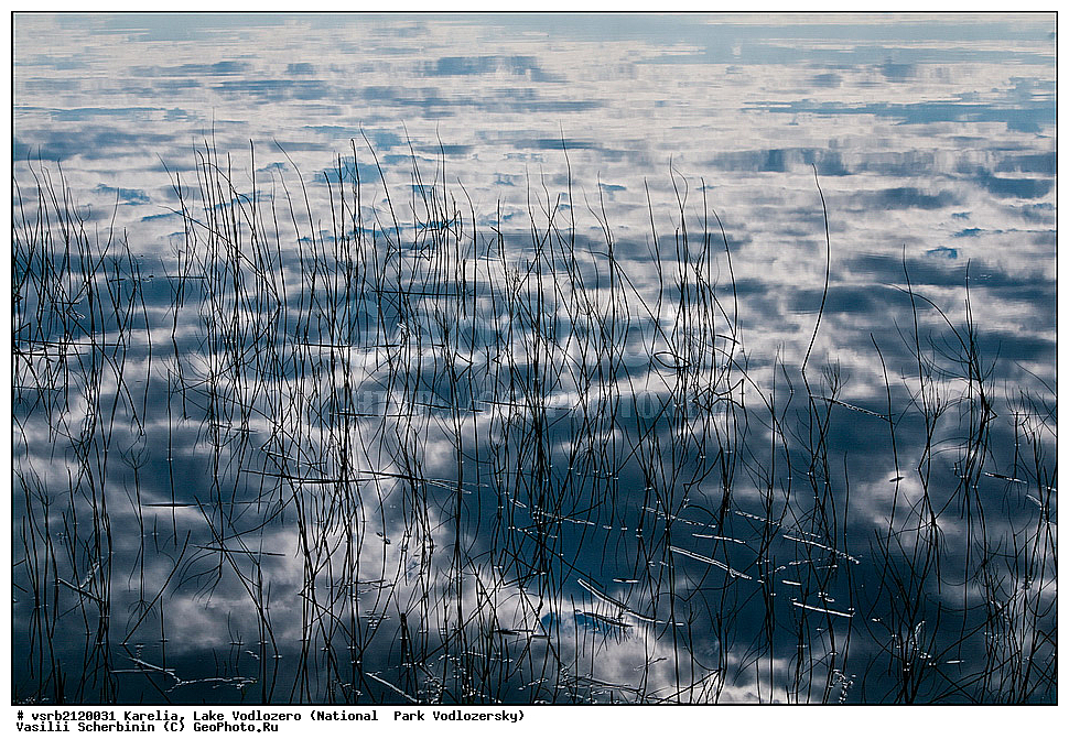 ����� �����������, ����������� �����, ��������, �����, ������� �����, ����, �������, �������, ������, ��������, �����, ������, �������, ���������, ������������  , ��� ����, ����, ������������ ����, �����������