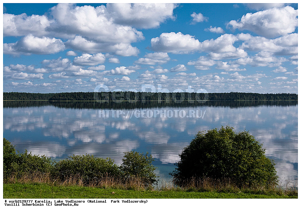 ����� �����������, ����������� �����, ��������, �����, ������� �����, ����, �������, �������, ������, ��������, �����, ������, �������, ���������, ������������  , ��� ����, ����, ������������ ����, �����������