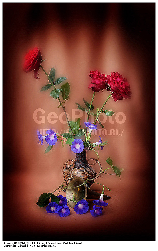 ���������, �������, �����, ����������