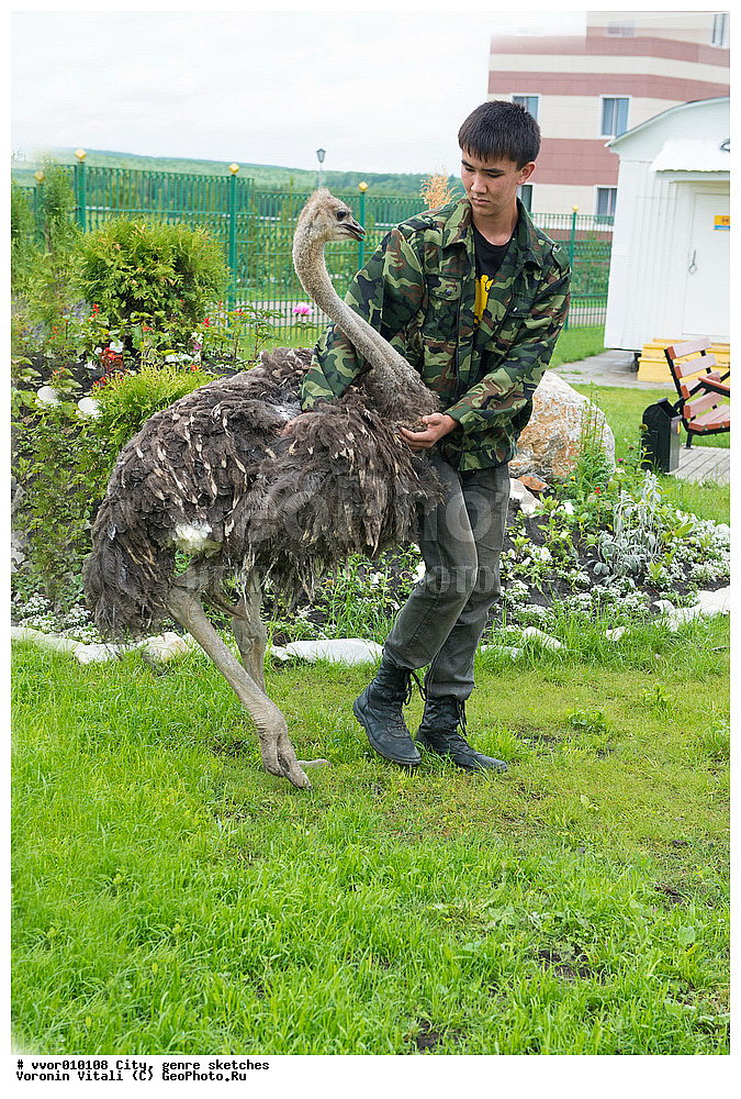 �����, ����, �������� ���������