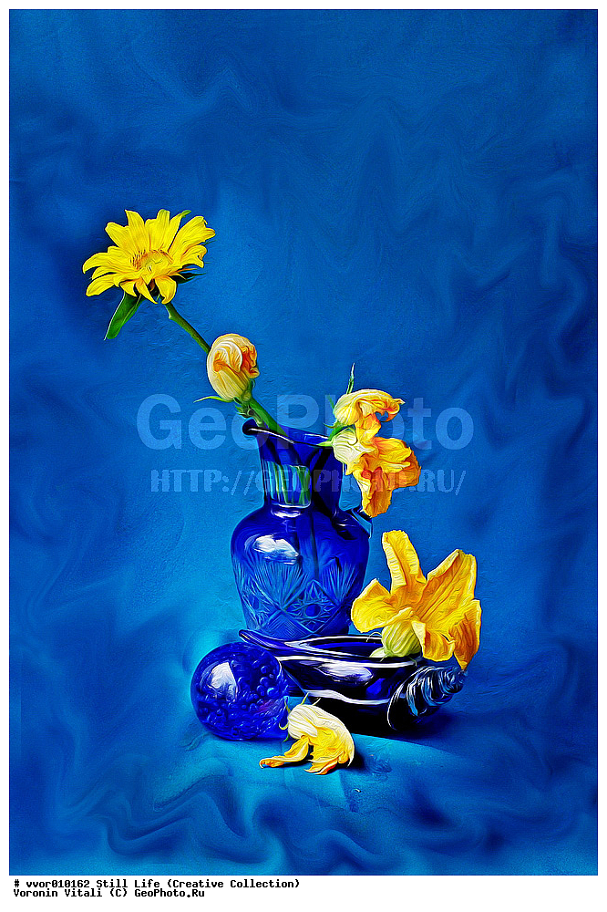 ���������, �������, �����, ����������