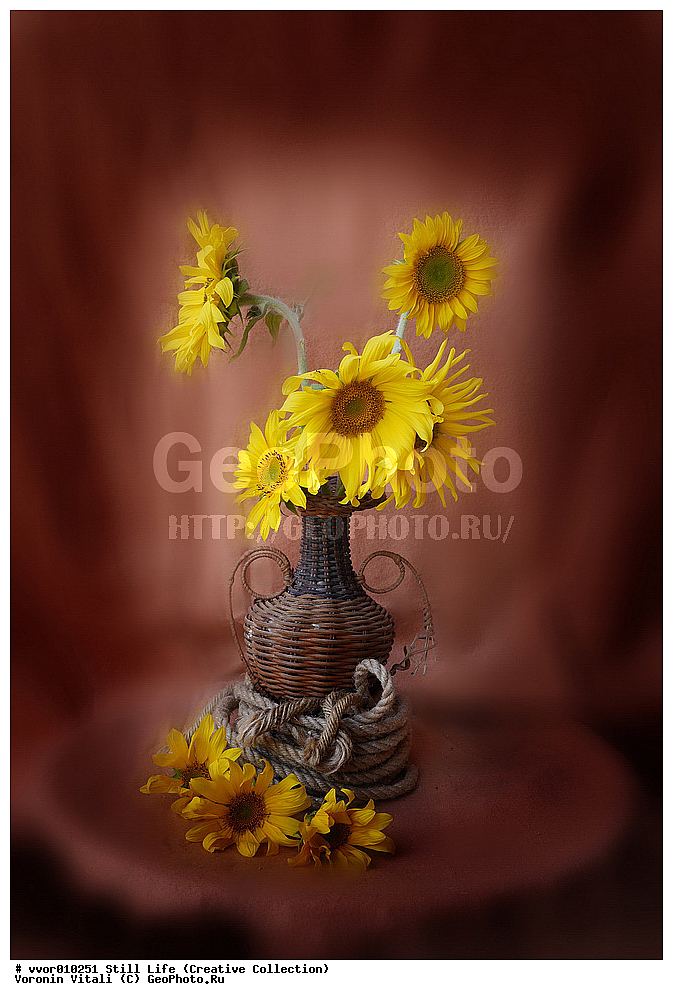 ���������, �������, �����, ����������