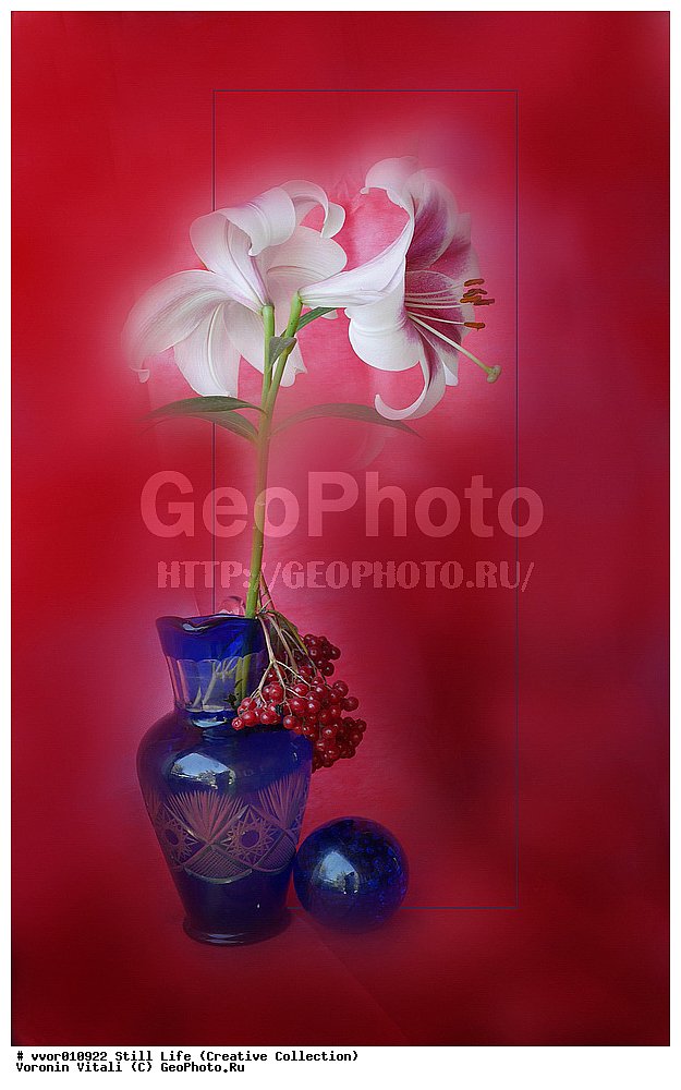 ���������, �������, �����, ����������