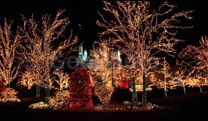 �������, ���������, �������, ���������, ���, �������, �����, �����������, ��������, ������������� ����, ����