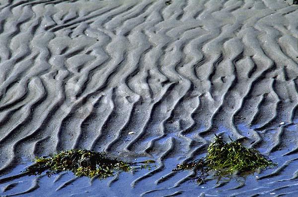 ����� ����, �����, ����������� �����, ������, �������