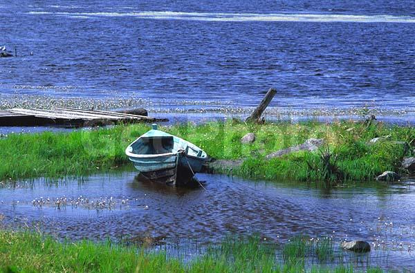 ����� ����, �����, ����������� �����, ������, �������